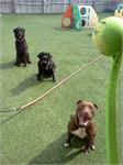 daycare pic 18 - ball time